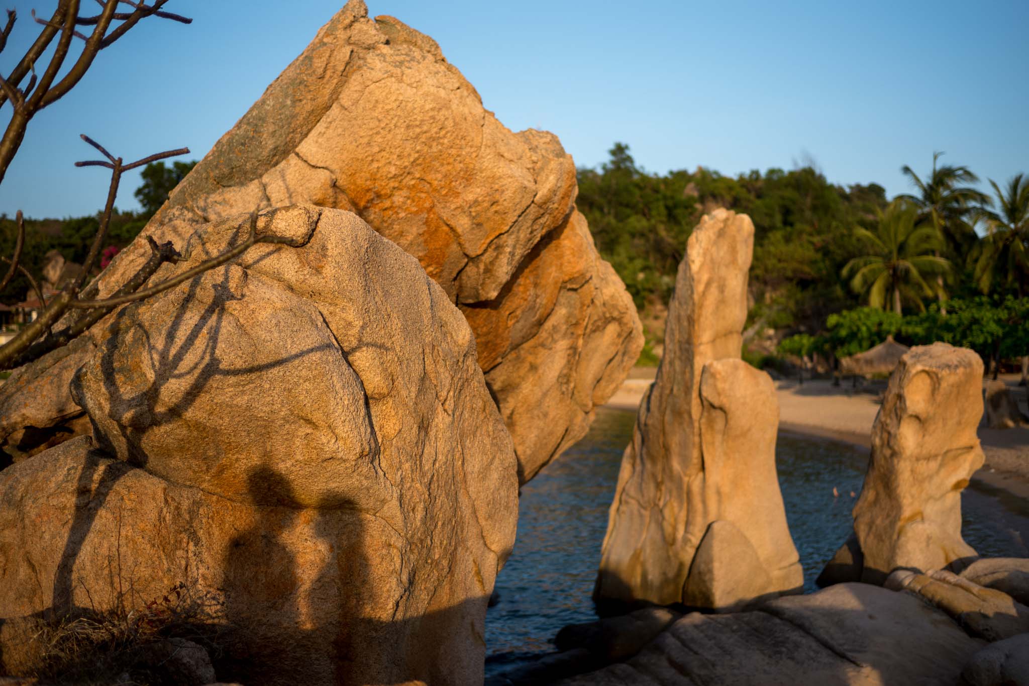 Ảnh chụp bằng máy ảnh Leica M10